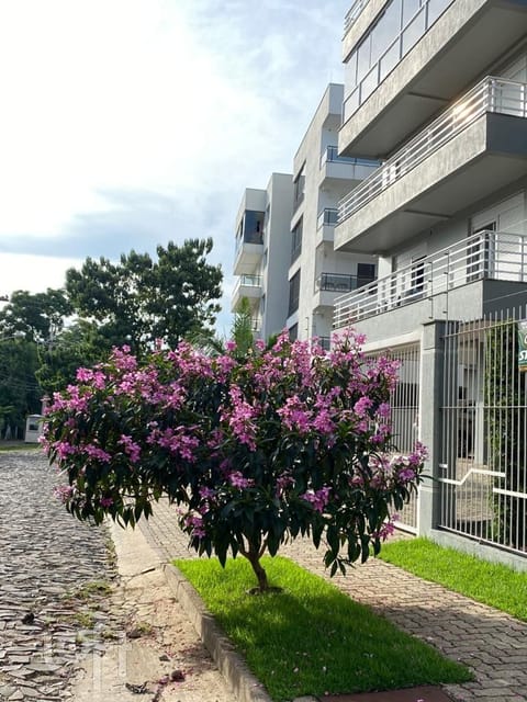 Image 32 - 250223